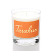 Pumpkin Soy Lotion Candle (Pumpkin Spice + Pumpkin Chai)