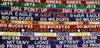 Gameday Purse  Strap - stadium bag