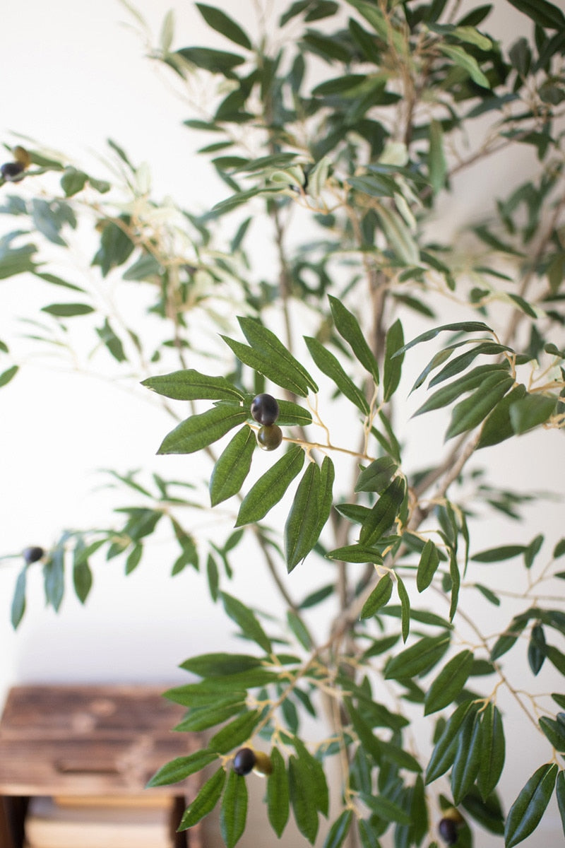 Tall Artificial Olive Tree – YaYa Club Clothing Company