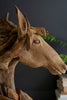 Teakwood Horse Head Sculpture